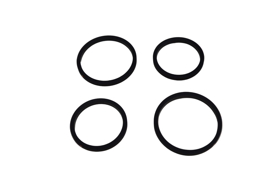 Caliper Seal Kit (GP2 Caliper) Kit
