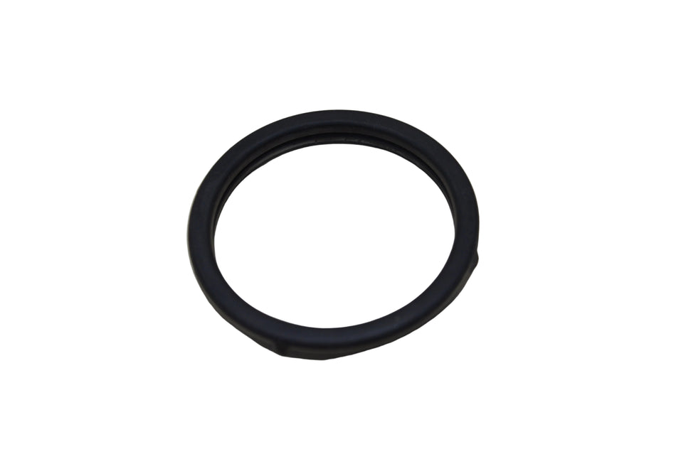 Thermostat Seal