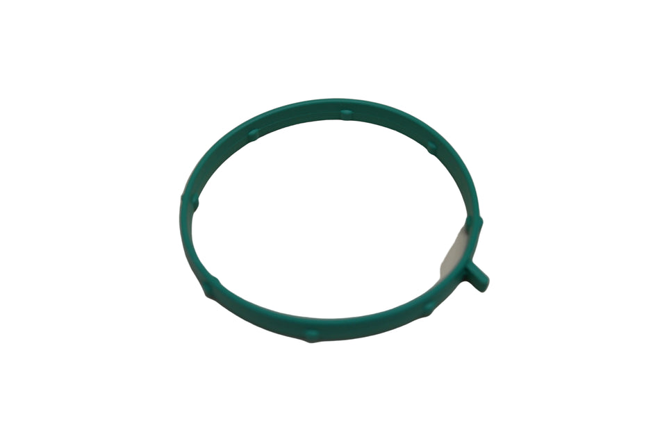 Throttle Body O-Ring