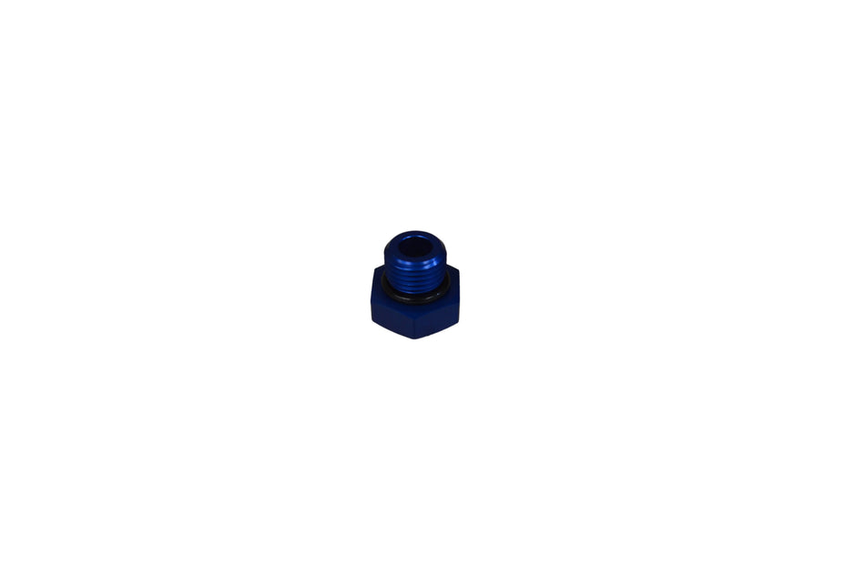 Blanking Plug
