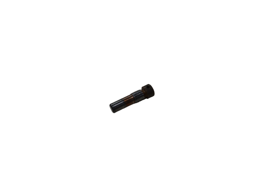 Pin, Shift Fork, Use with IGHT25 Selector Fork