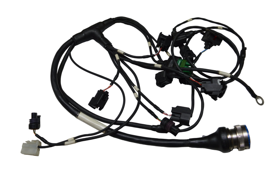 Harness, DP02 - Engine