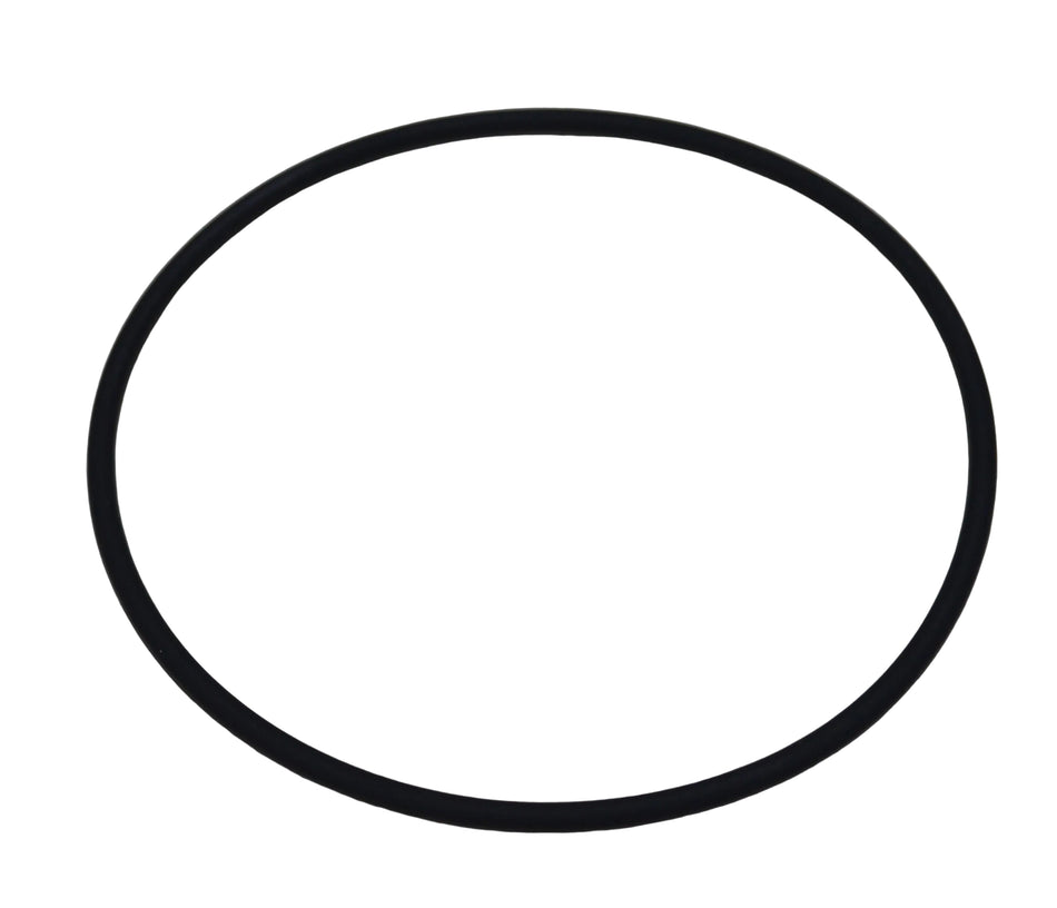 O-Ring, -12 Banjo Fitting